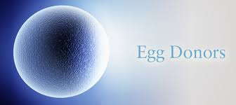 Get the best profile matching Egg donation in India.